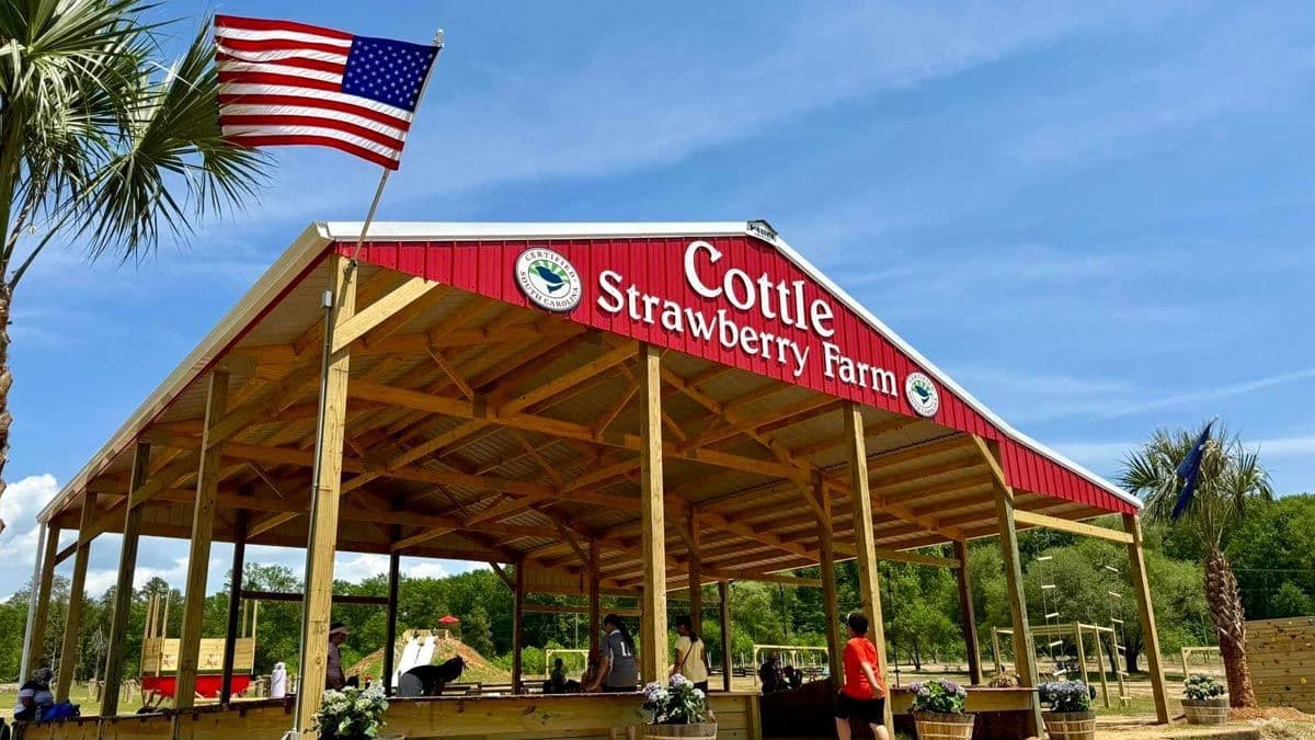 Cottle Strawberry