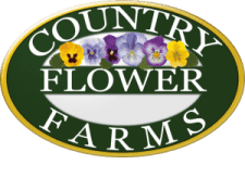 Country Flower Farms