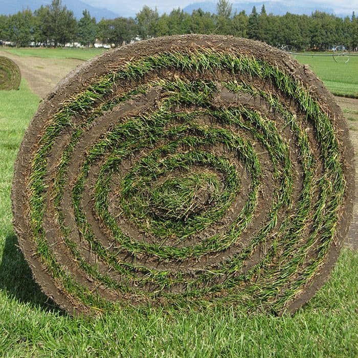 Country Garden Farms