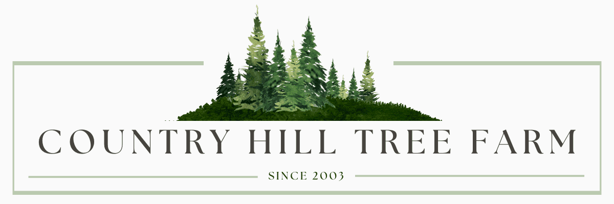 Country Hill Tree Farm