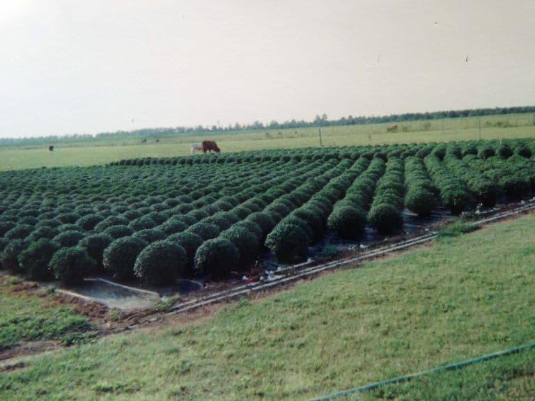 Country Lawn Equipment