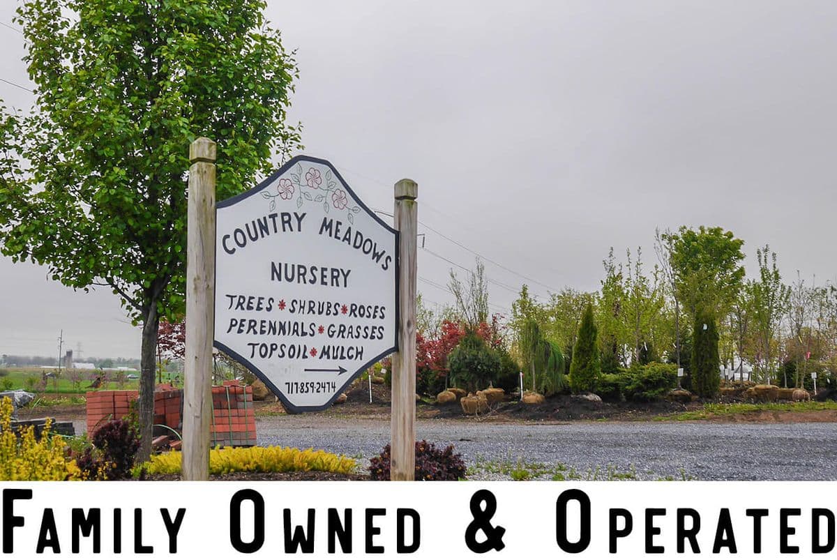 Country Meadows Nursery