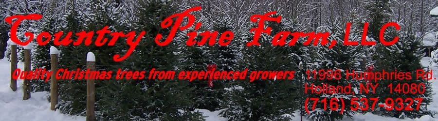Country Pine Farms, LLC