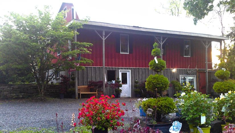 Country Side Nursery