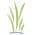 Country Springs Wholesale Nursery