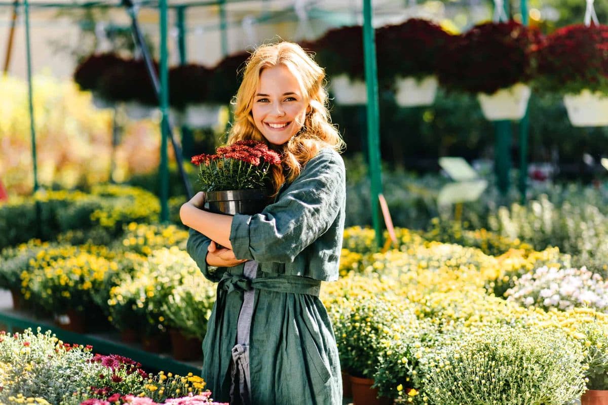 Countryside Greenhouse