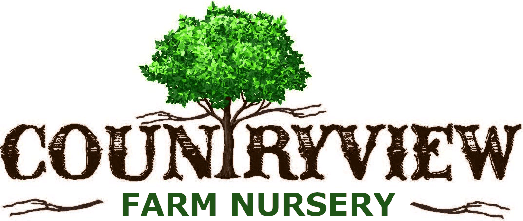 Countryview Farm Nursery