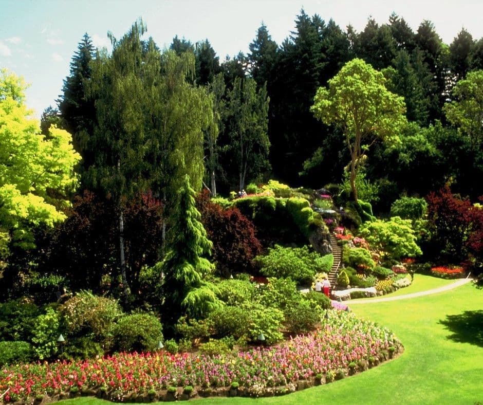 County Line Nurseries