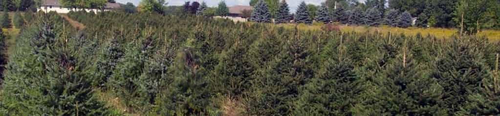 Covel's Tree Farm & Nursery