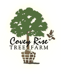 Covey Rise Tree Farm