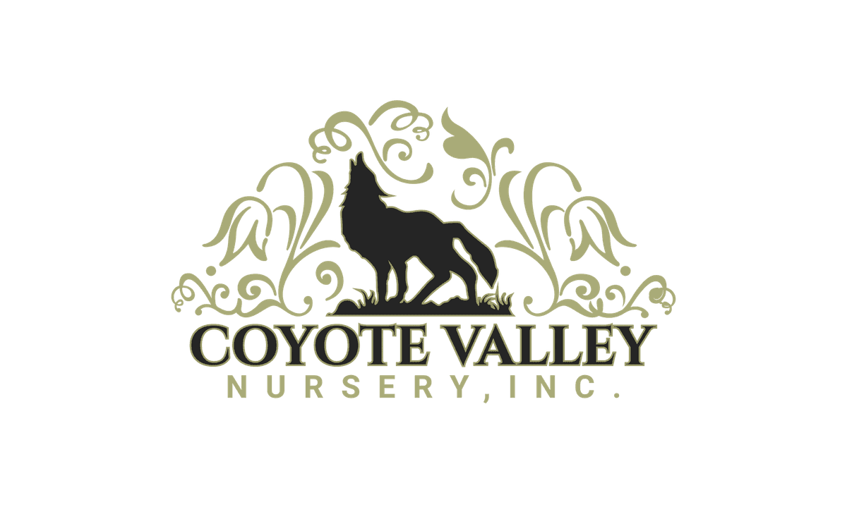 Coyote Valley Nursery