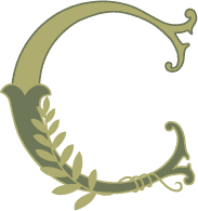 Craftmossphere