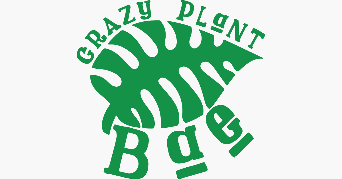 CRAZY PLANT BAE