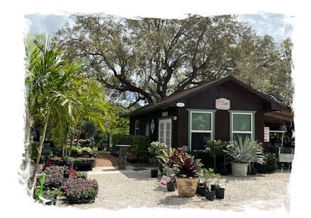 Creek Nursery