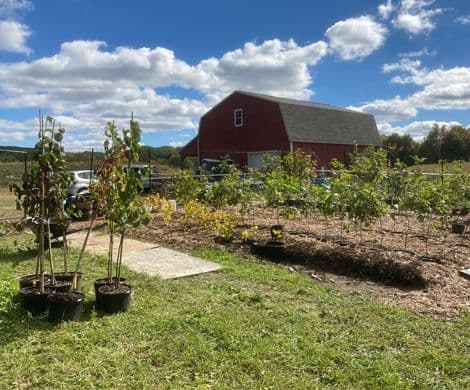 Creekside Collaborative - West Creek Conservancy