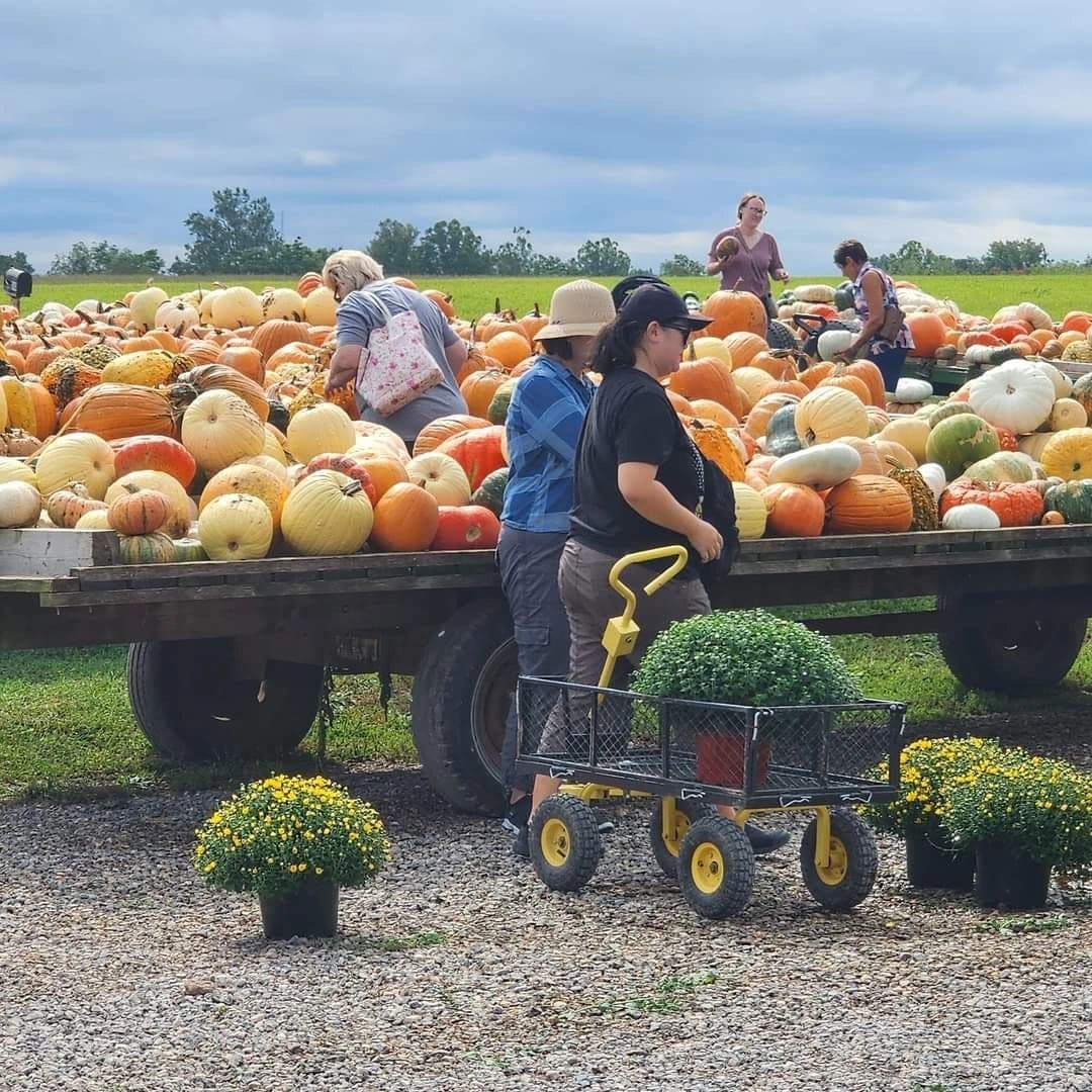 Creekside Farm and Market