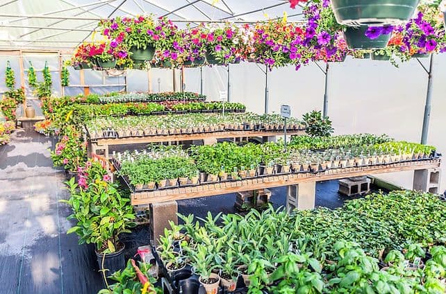 Creekside Market