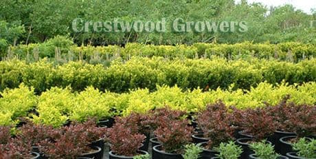 Crestwood Growers