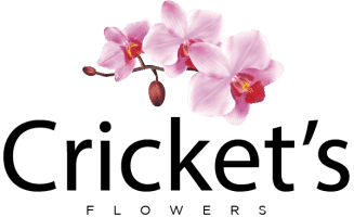 Crickets Flowers