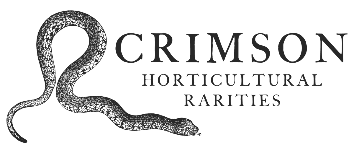Crimson Horticultural Rarities