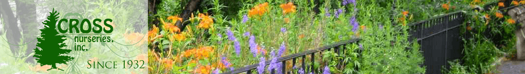 Cross Nurseries Inc