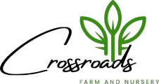 Crossroads Farm & Nursery
