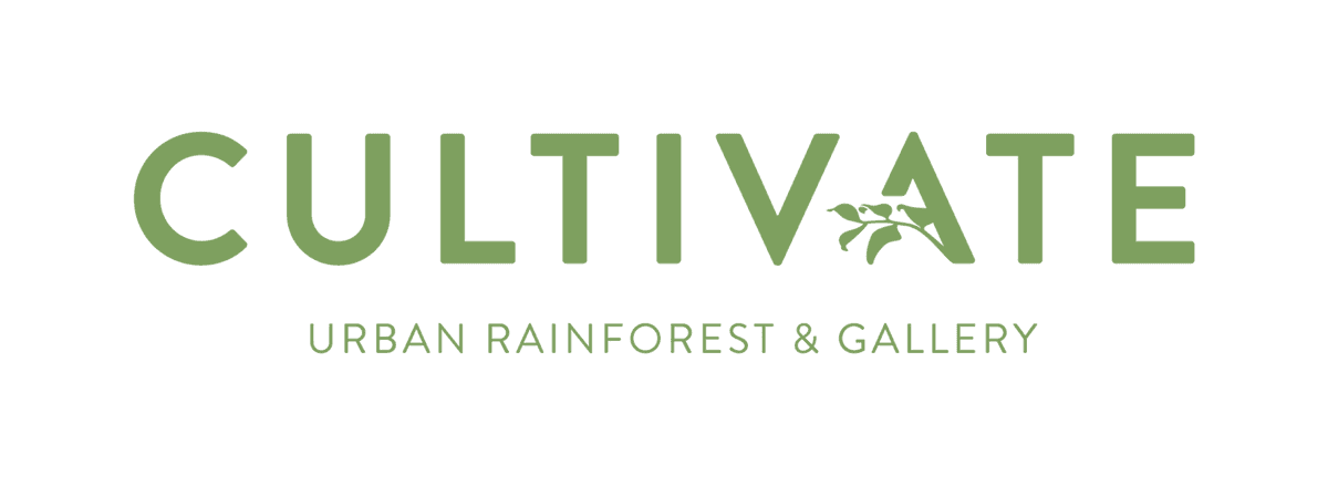 Cultivate Urban Rainforest & Gallery