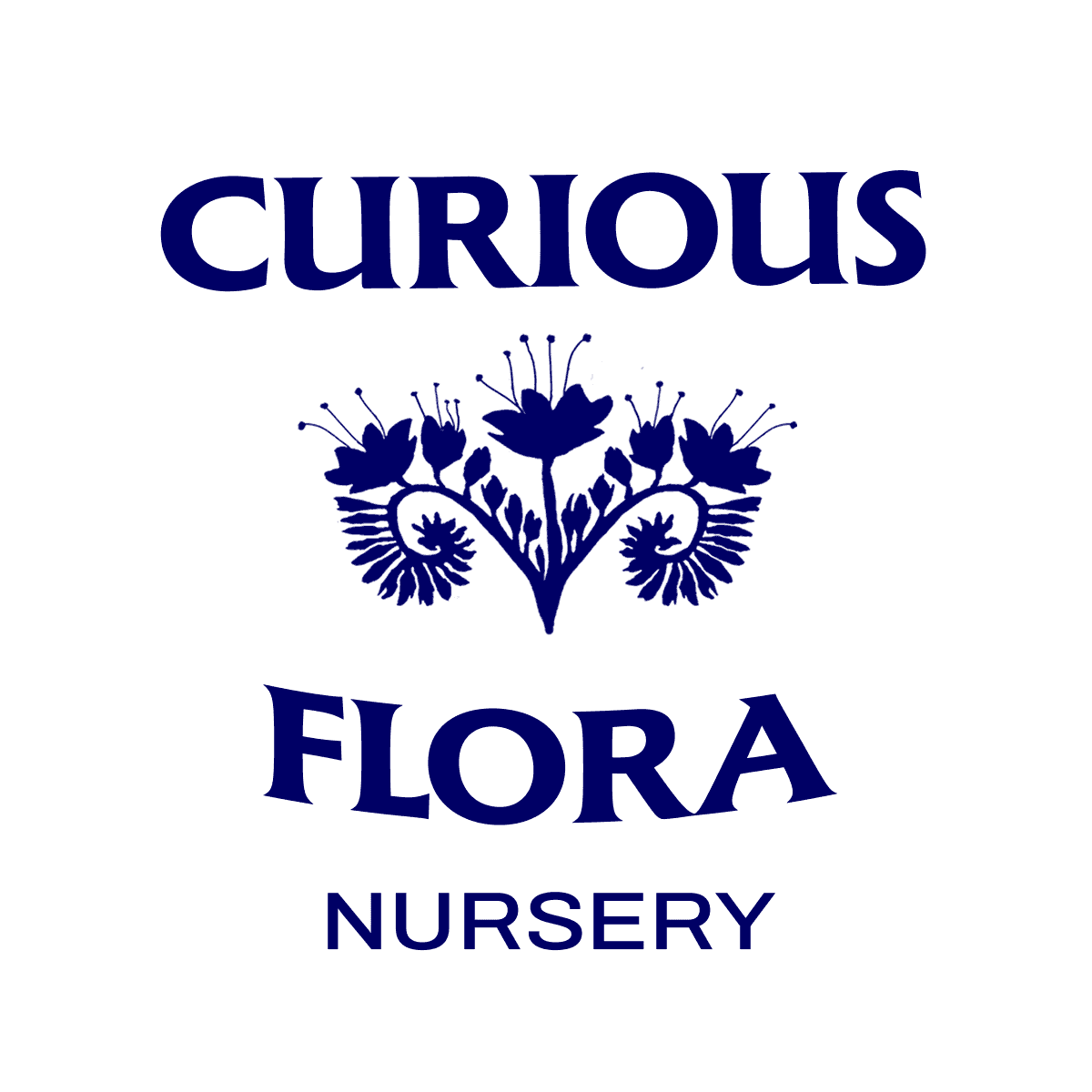 Curious Flora Nursery
