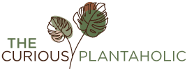 Curious Plantaholic