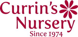 Currin's Nursery, Inc.