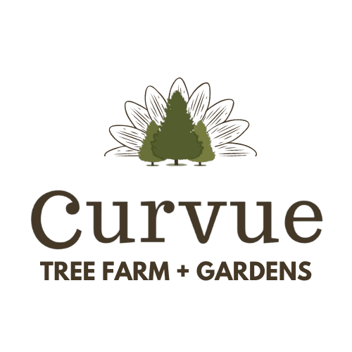 Curvue Tree Farm + Gardens