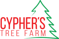 Cypher's Christmas Tree Farm