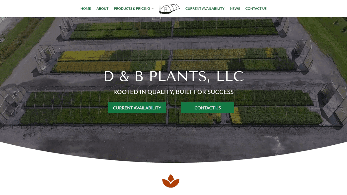 D & B Plants