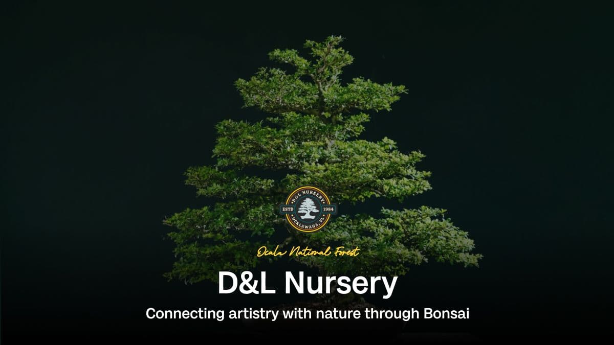 D & L Bonsai Nursery
