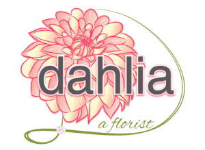 Dahlia A Florist