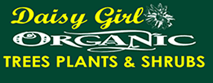 Daisy Girl Nursery