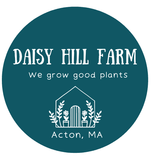 Daisy Hill Farm