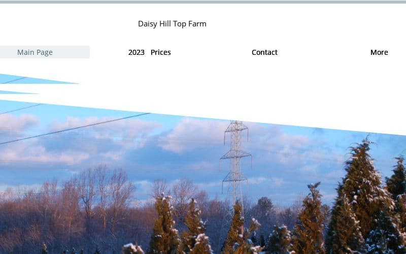 Daisy Hill Top Farm- grower of Choose and Cut Christmas Trees