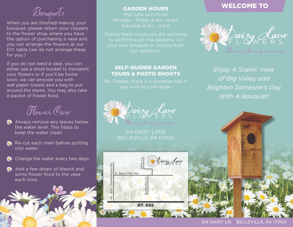 Daisy Lane Flowers