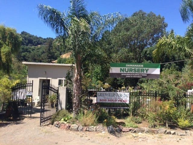 Damanakis Nursery & Landscaping