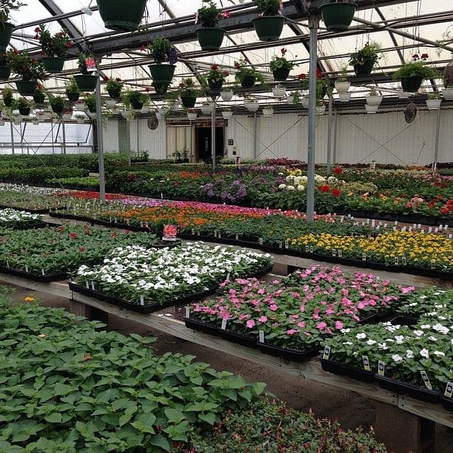 Danhauer Garden Center
