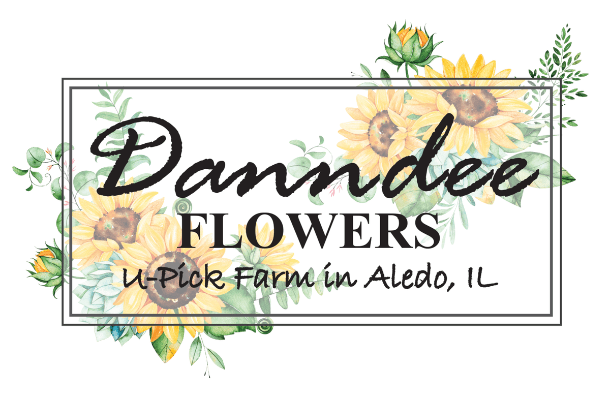 Danndee Flowers