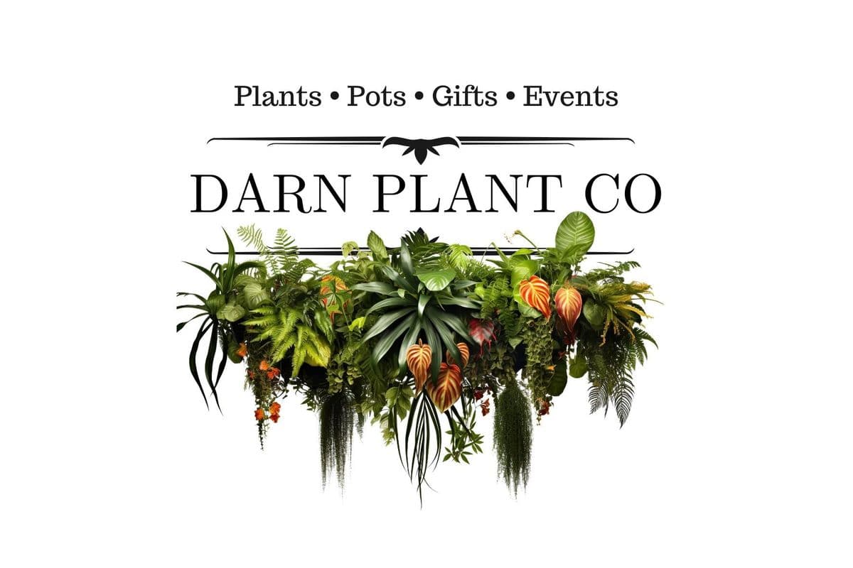 DARN Plant Co. LLC