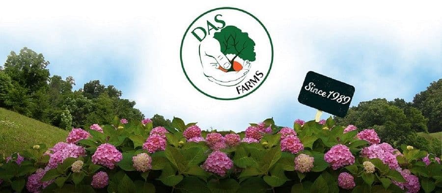 DAS Farms