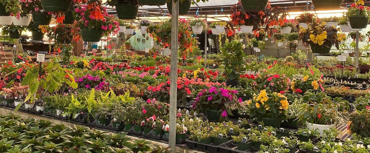 Davidson Greenhouse & Nursery Inc