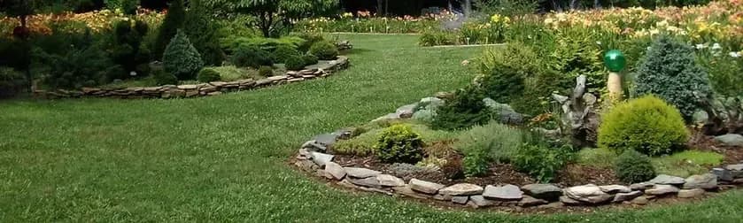 Davis Daylily Gardens