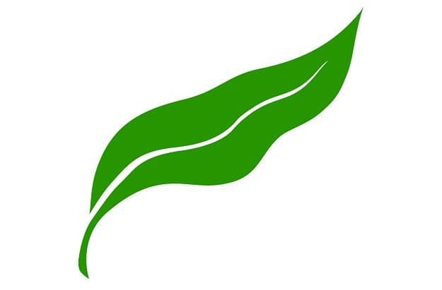 Davis Tree Farm & Nursery