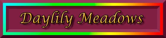 Daylily Meadows