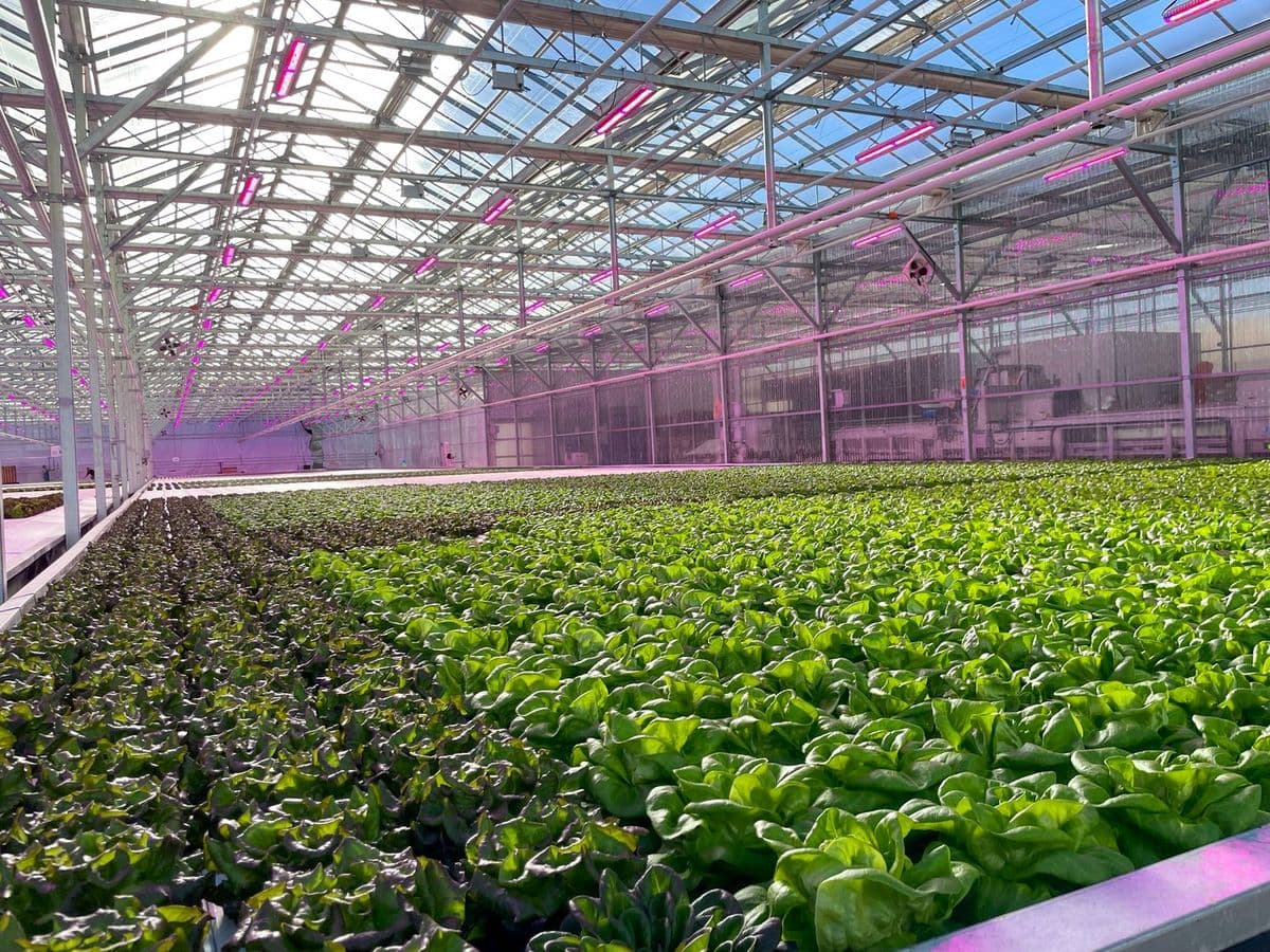 DeGoede Farms