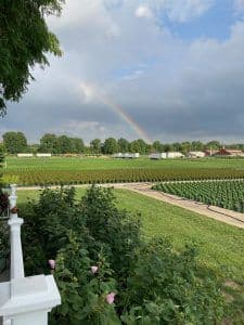 DeGroot and Sons Growers